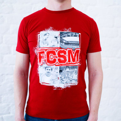 �������� FCSM